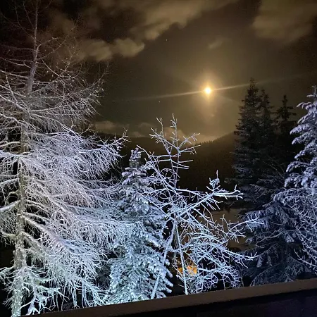 Vila Almhaus Zirbenheim Nicolina Flattnitz Exteriér fotografie