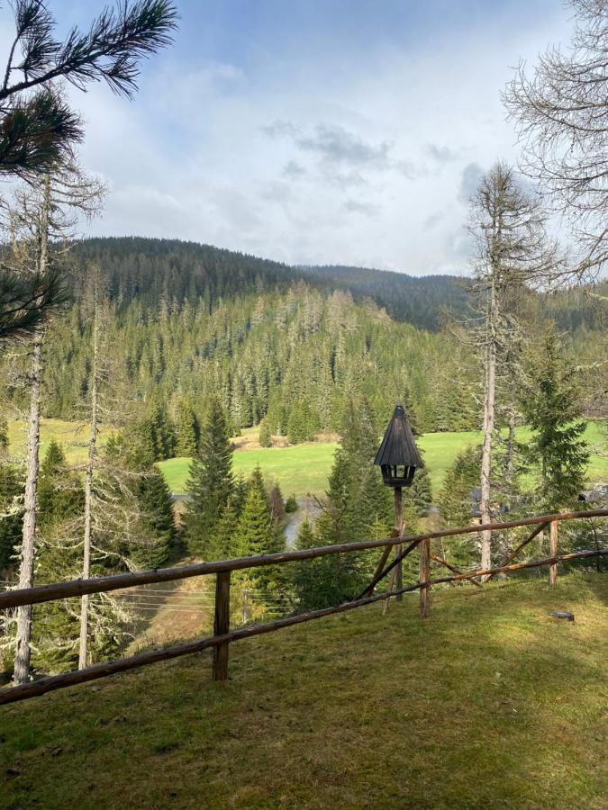 Prázdninový dům Almhaus Zirbenheim Nicolina Flattnitz