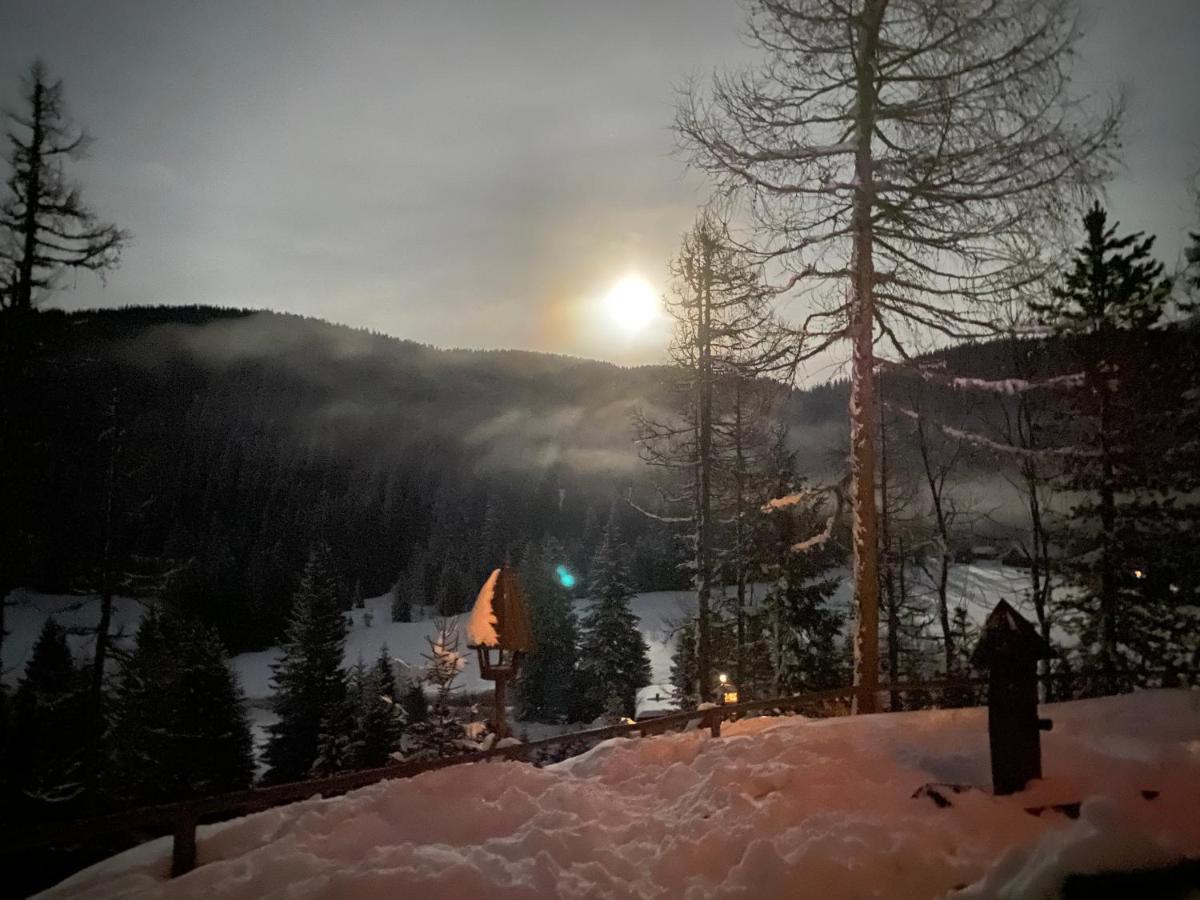 Prázdninový dům Almhaus Zirbenheim Nicolina